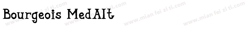 Bourgeois MedAlt字体转换
